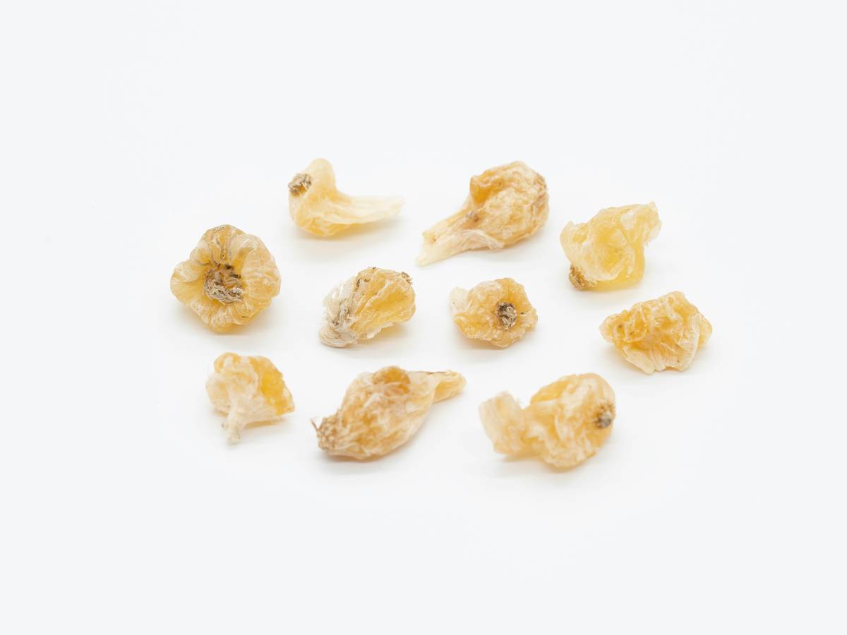 Comparison chart showing nutrient retention in freeze dried vs dehydrated vs kibble pet foods