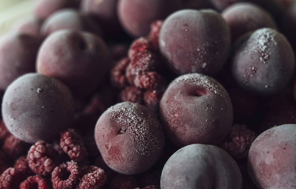 Infographic showing safe vs unsafe ingredients in frozen fruit smoothie mixes for pets: green checkmarks on blueberries, banana, mango; red Xs on grapes, citrus rind, xylitol, added sugar