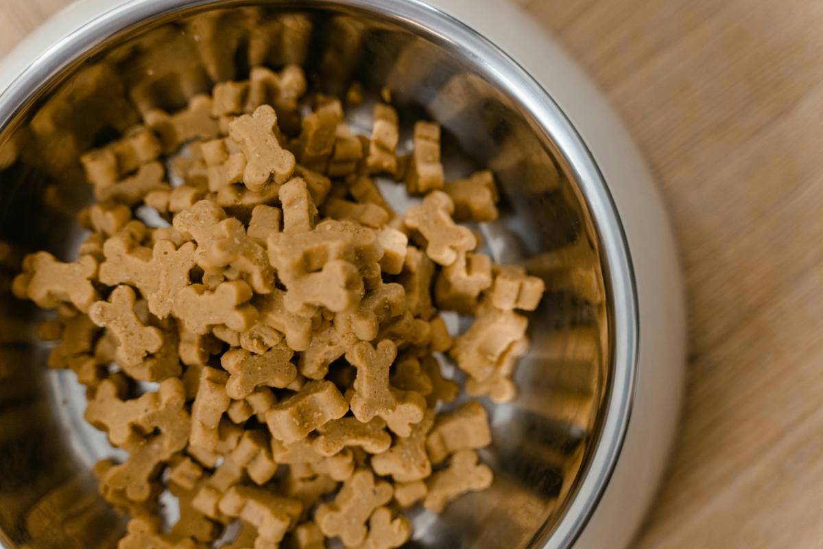 Is a Puppy Frozen Diet Right for Your Furry New Best Friend?