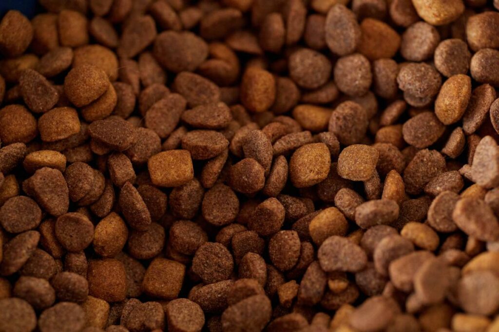 Is Grain Free Formula the Right Choice for Your Pet? A Frozen Food Expert’s Honest Breakdown