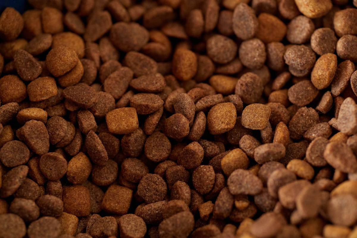 Is Grain Free Formula the Right Choice for Your Pet? A Frozen Food Expert’s Honest Breakdown