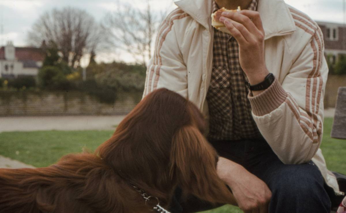 Is Your Dog Eating Frozen Pizza Crust? Why It’s a Dangerous Snack (and What to Feed Instead)