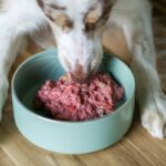 Is Your Pet on a Keto-Friendly Dinner Plan? Why Frozen Raw Food Might Be the Missing Piece