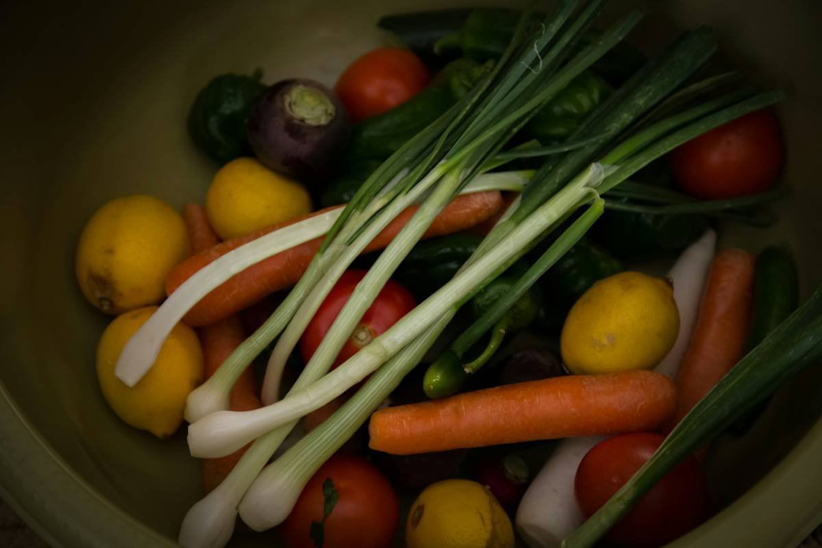 Why Your Pet’s Frozen Food Needs a Non GMO Vegetable Boost (And How to Get It Right)