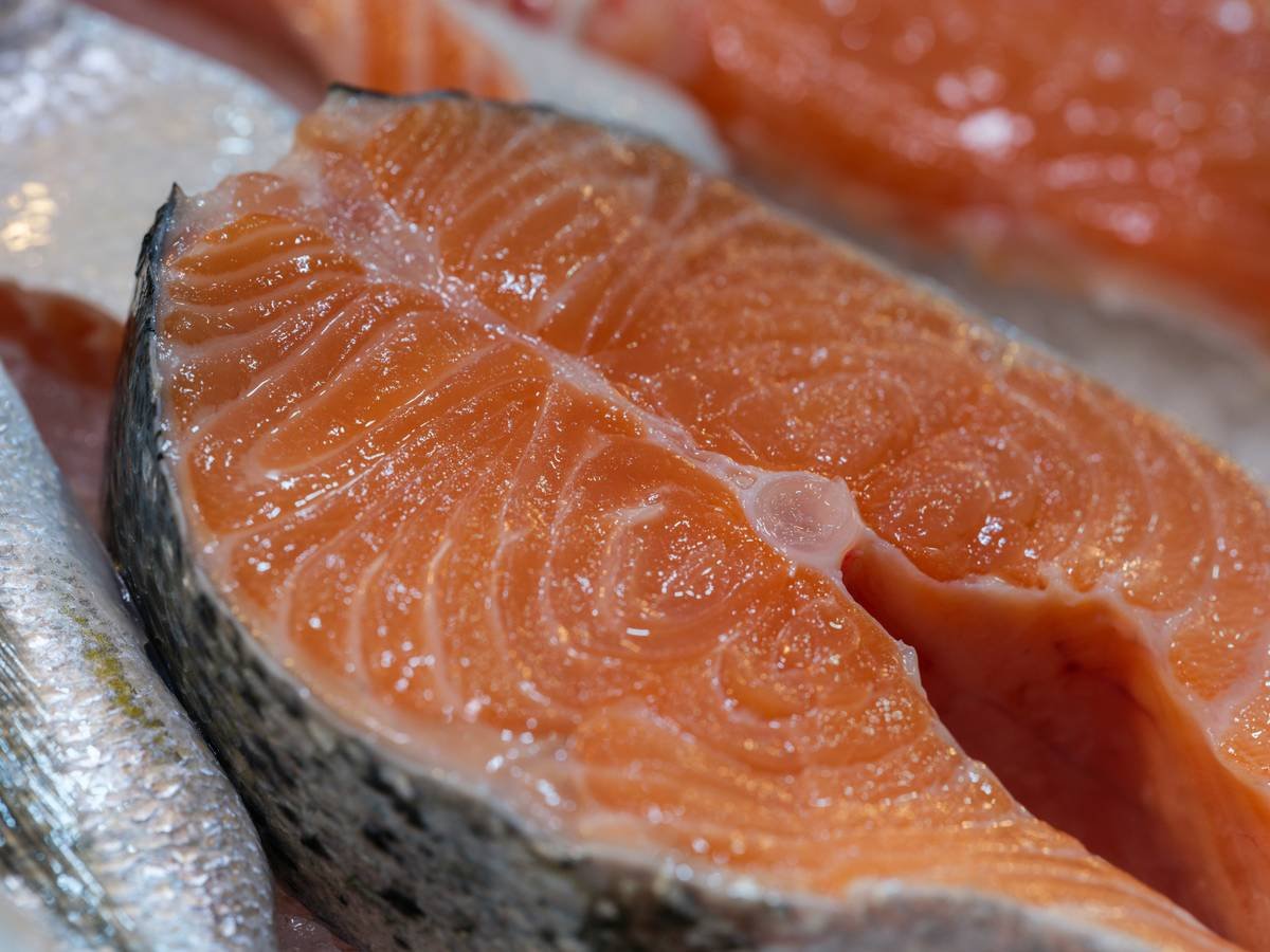 Infographic comparing raw salmon fish cube vs. processed salmon kibble: ingredients, omega-3 content, and digestibility scores