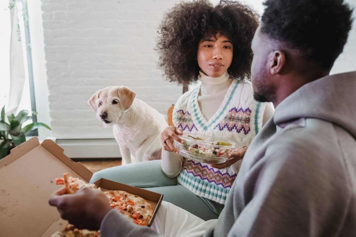 Is That “Frozen Burrito Meal” Actually Safe for Your Dog? A Veterinarian-Backed Guide