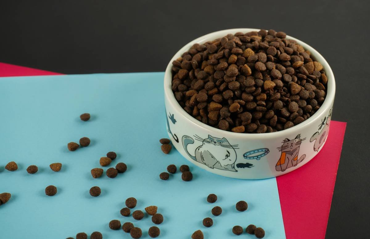 Is Turkey Veggie Mix the Secret to a Healthier, Happier Dog? (Spoiler: Maybe—Here’s How to Get It Right)