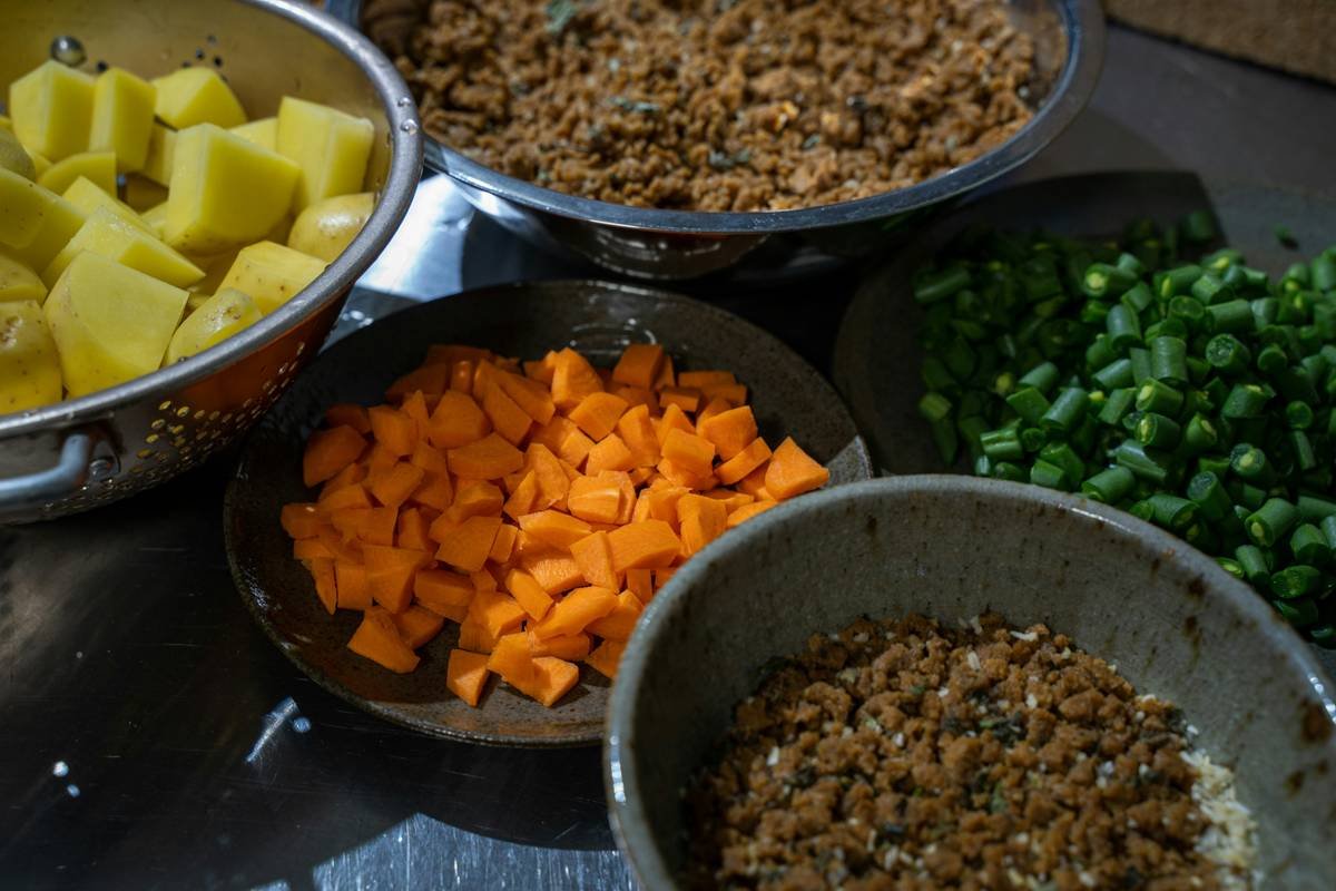 Nutritional comparison chart: frozen egg bites vs. kibble vs. freeze-dried treats showing protein, fat, and additive levels