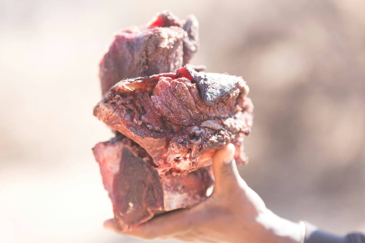 pre portioned raw dog food packs showing protein rotation
