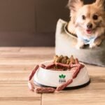 Why Gently Cooked Frozen Dog Food Is the Future of Canine Nutrition