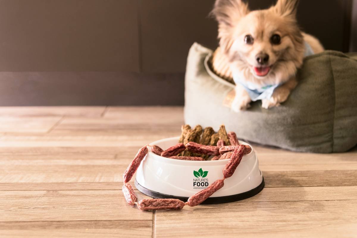 Why Gently Cooked Frozen Dog Food Is the Future of Canine Nutrition
