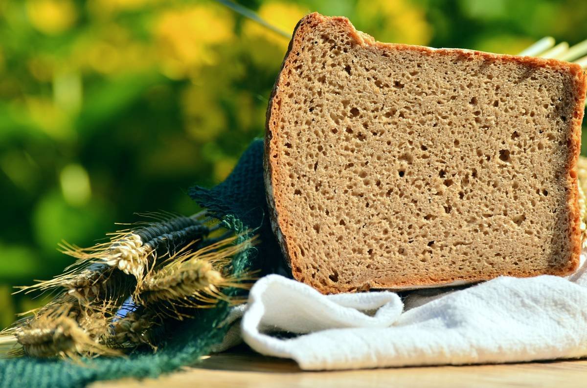 Why Your Dog Deserves a Premium frozen gluten free loaf (And Why Most Brands Get It Wrong)